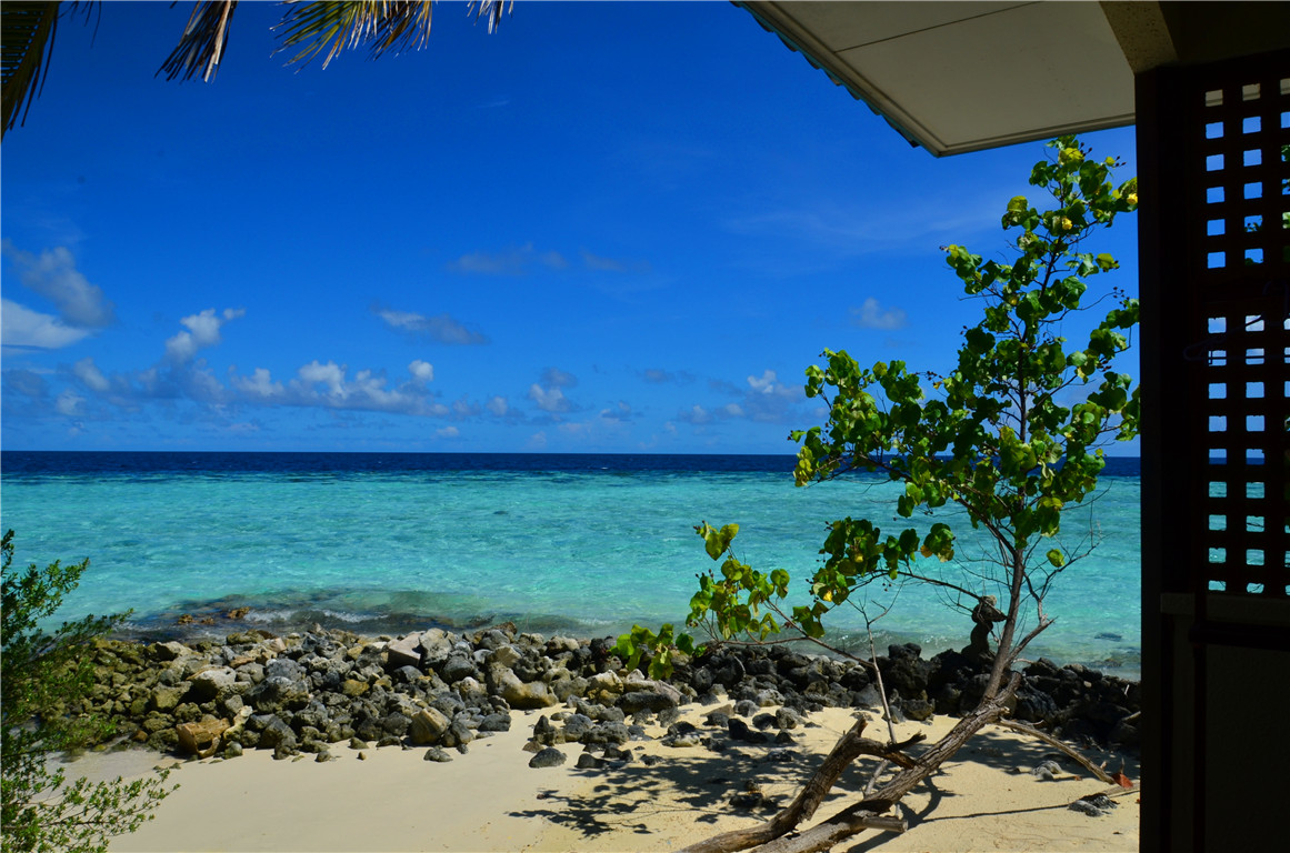 DSC_1665.jpg