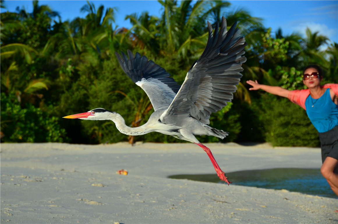 DSC_2509.jpg
