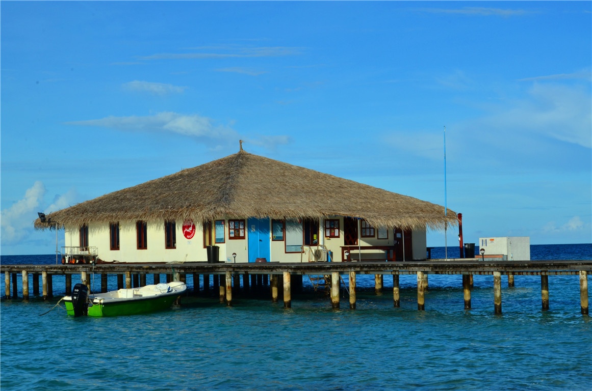 DSC_2513.jpg