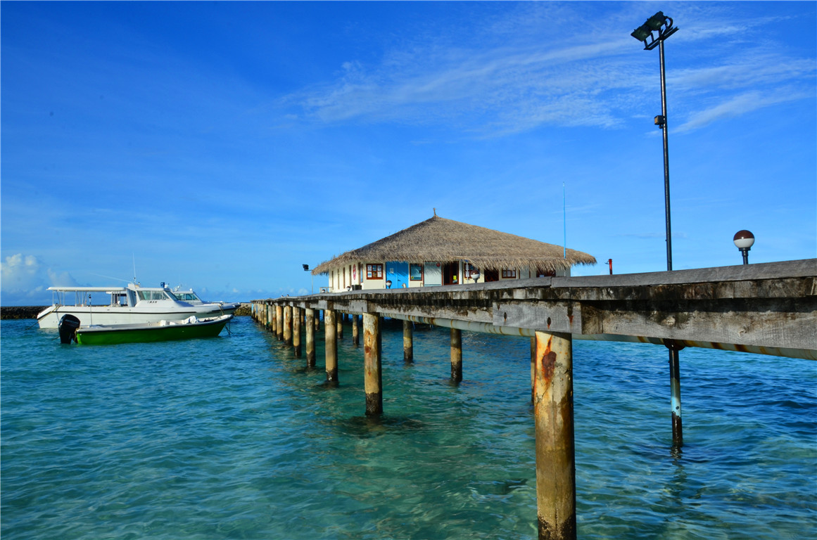 DSC_2517.jpg