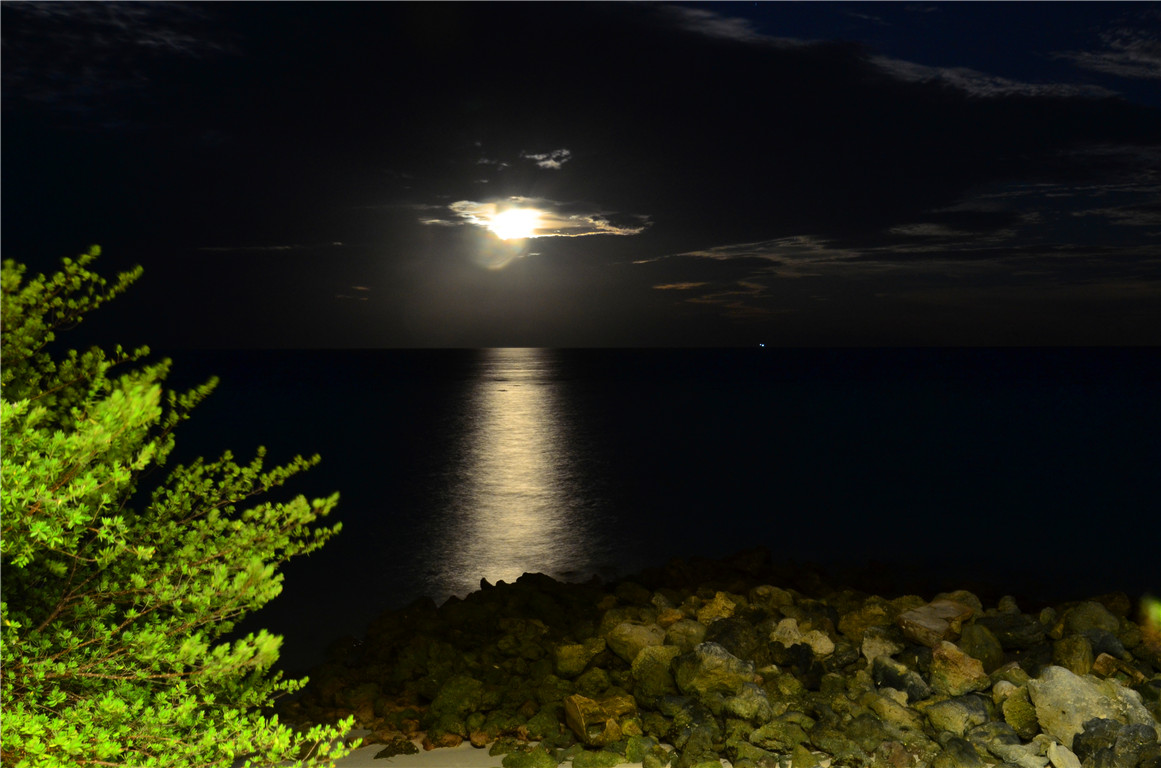 DSC_2556.jpg