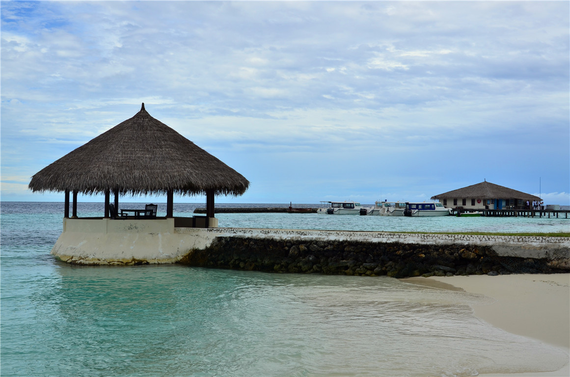 DSC_2913.jpg