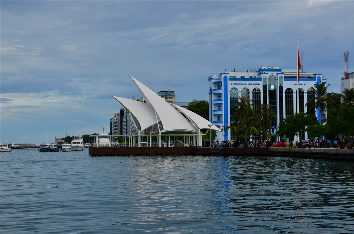 DSC_3153.jpg