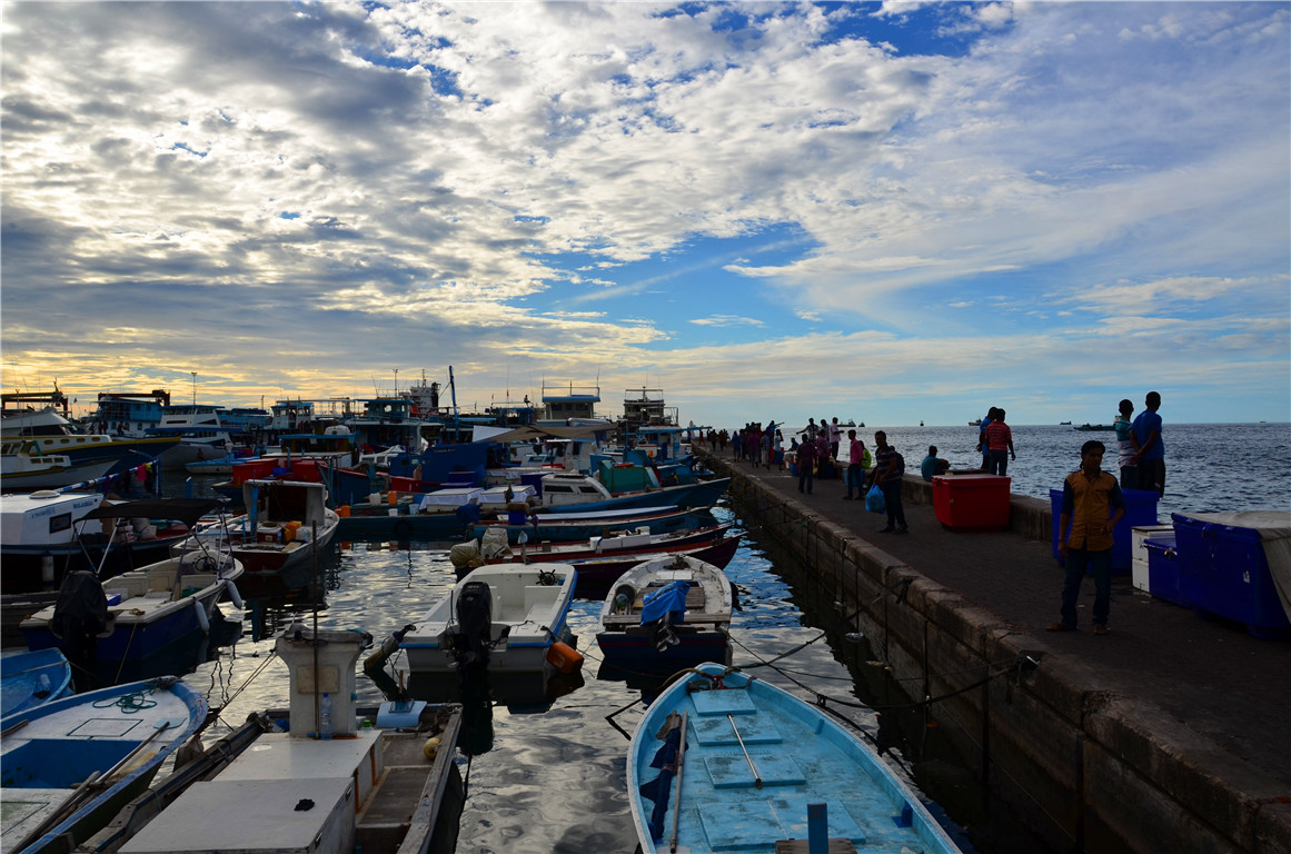 DSC_3162.jpg