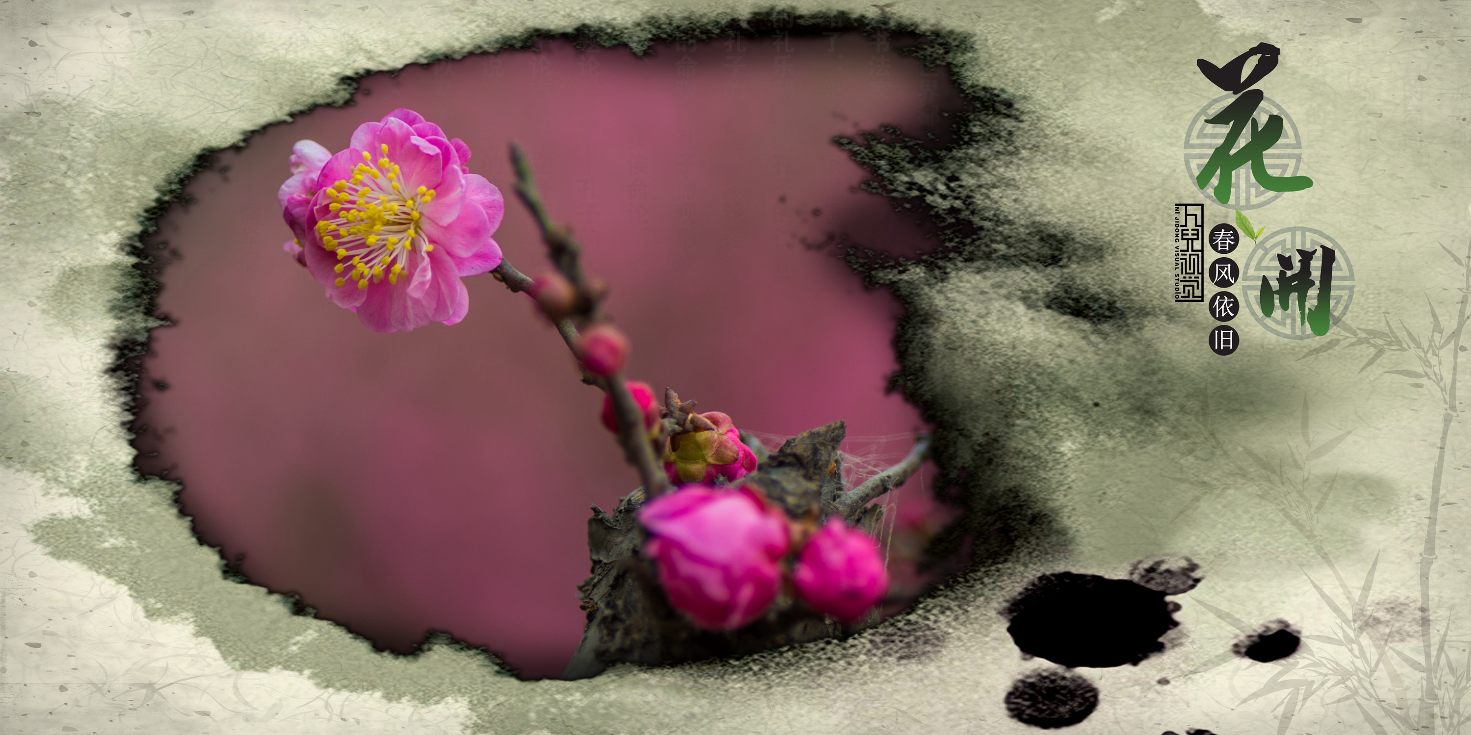 三月花开 (05).jpg