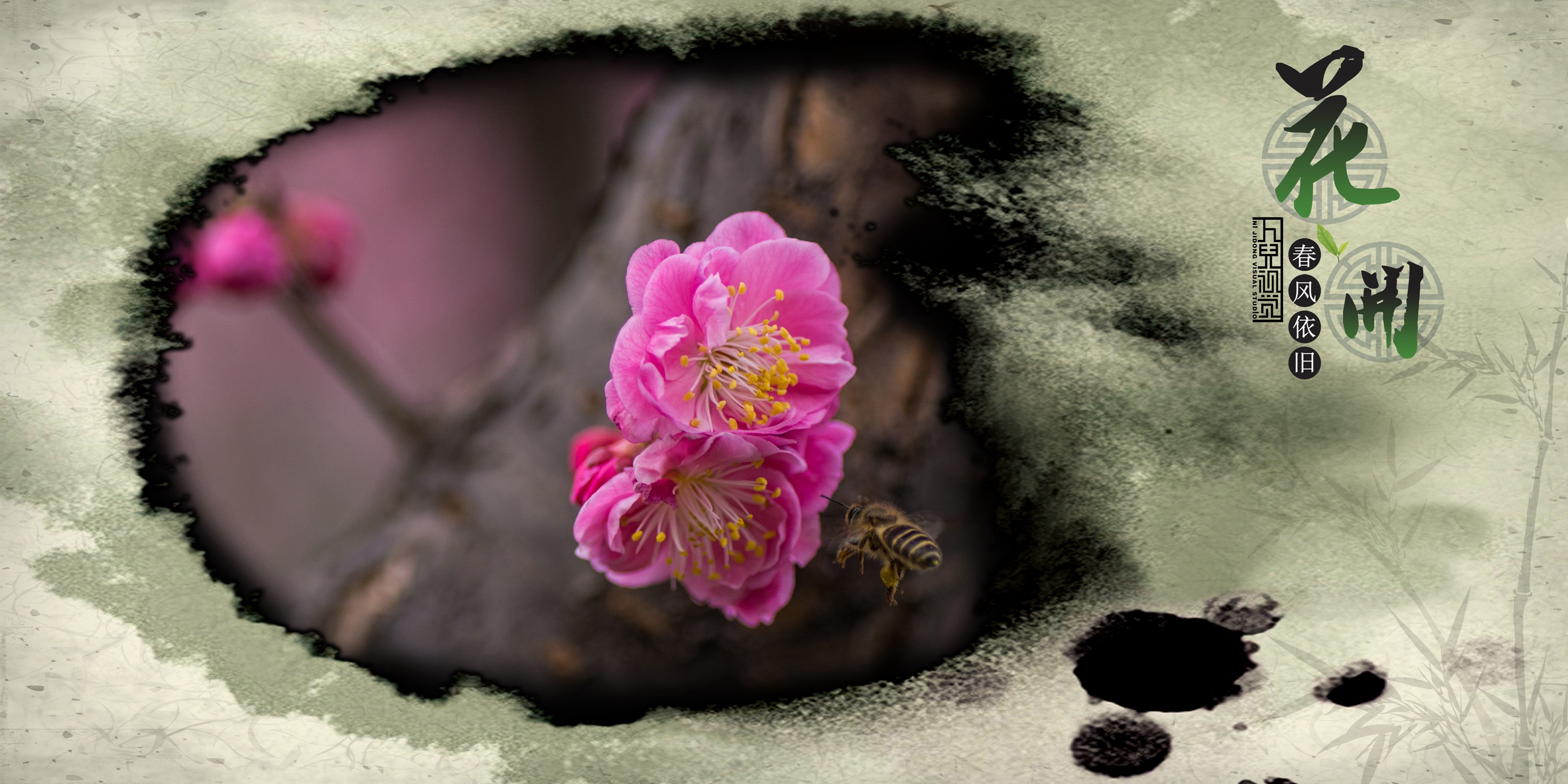 三月花开 (10).jpg