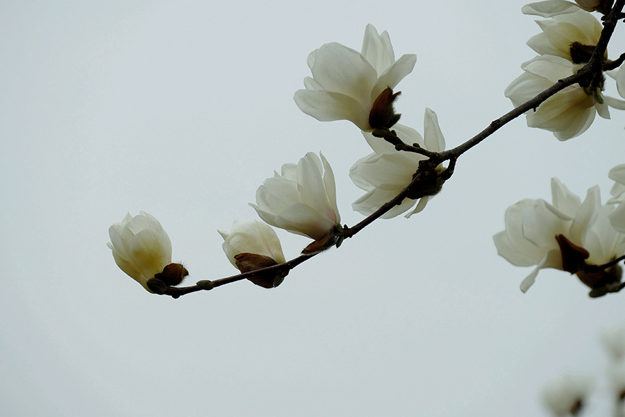 L9340071_副本.jpg