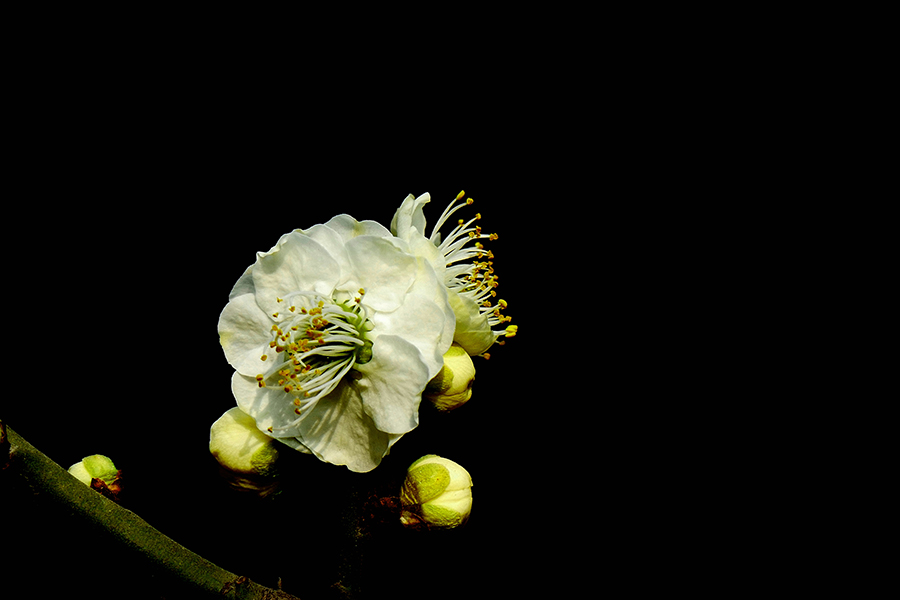 L9290823_副本.jpg
