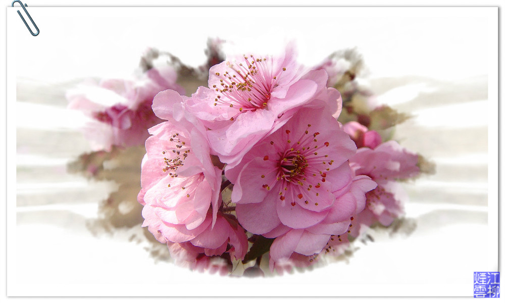 DSC07371_meitu_54.jpg