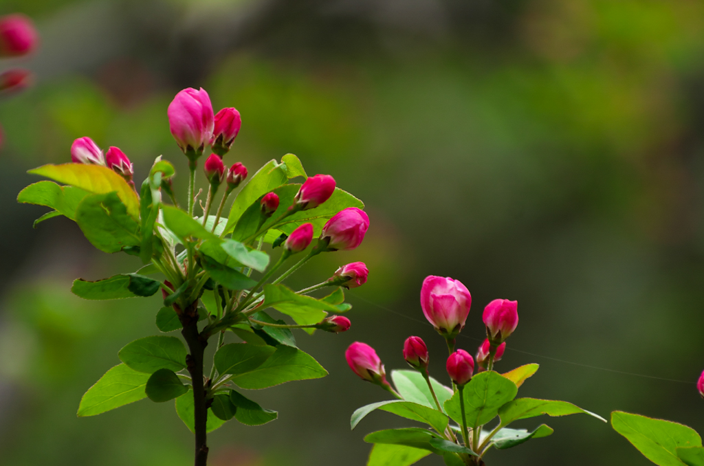20160322-YBSP1427.jpg