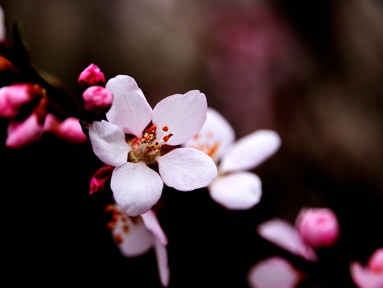 IMG_2999_副本.jpg
