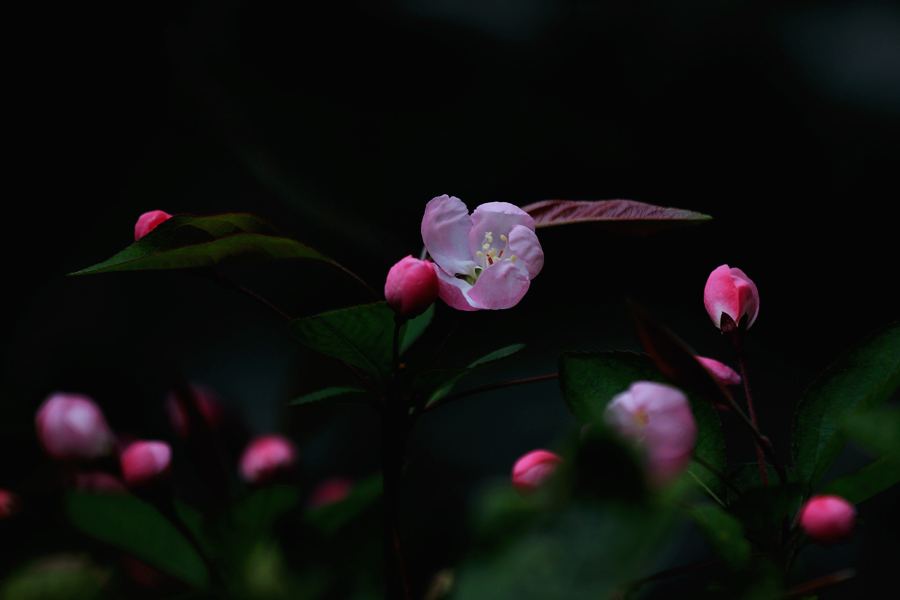 G_5943.jpg