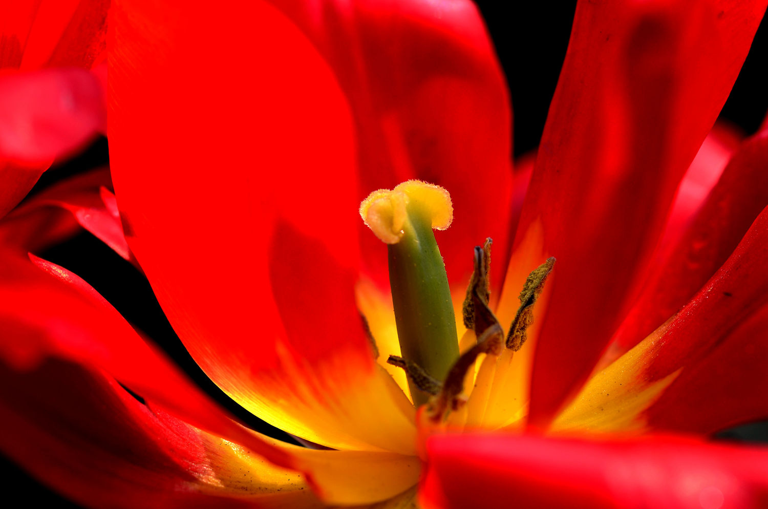 DSC_6679.JPG