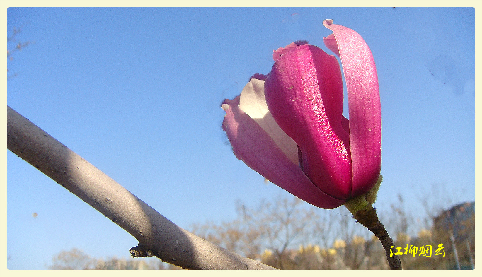 DSC08845_meitu_34.jpg