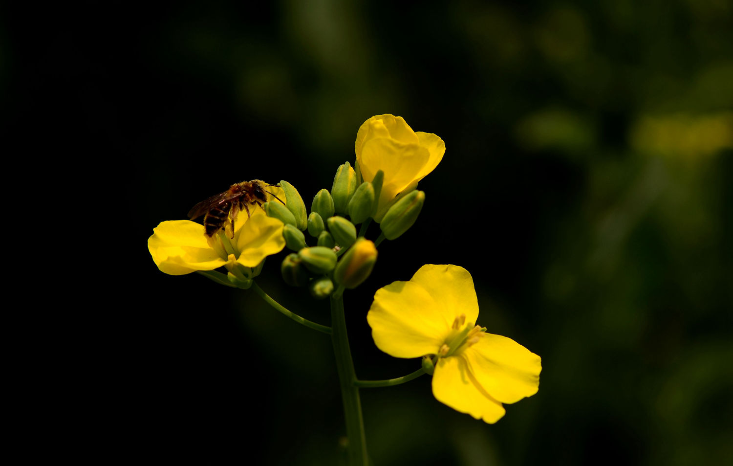 DSC_6969.JPG