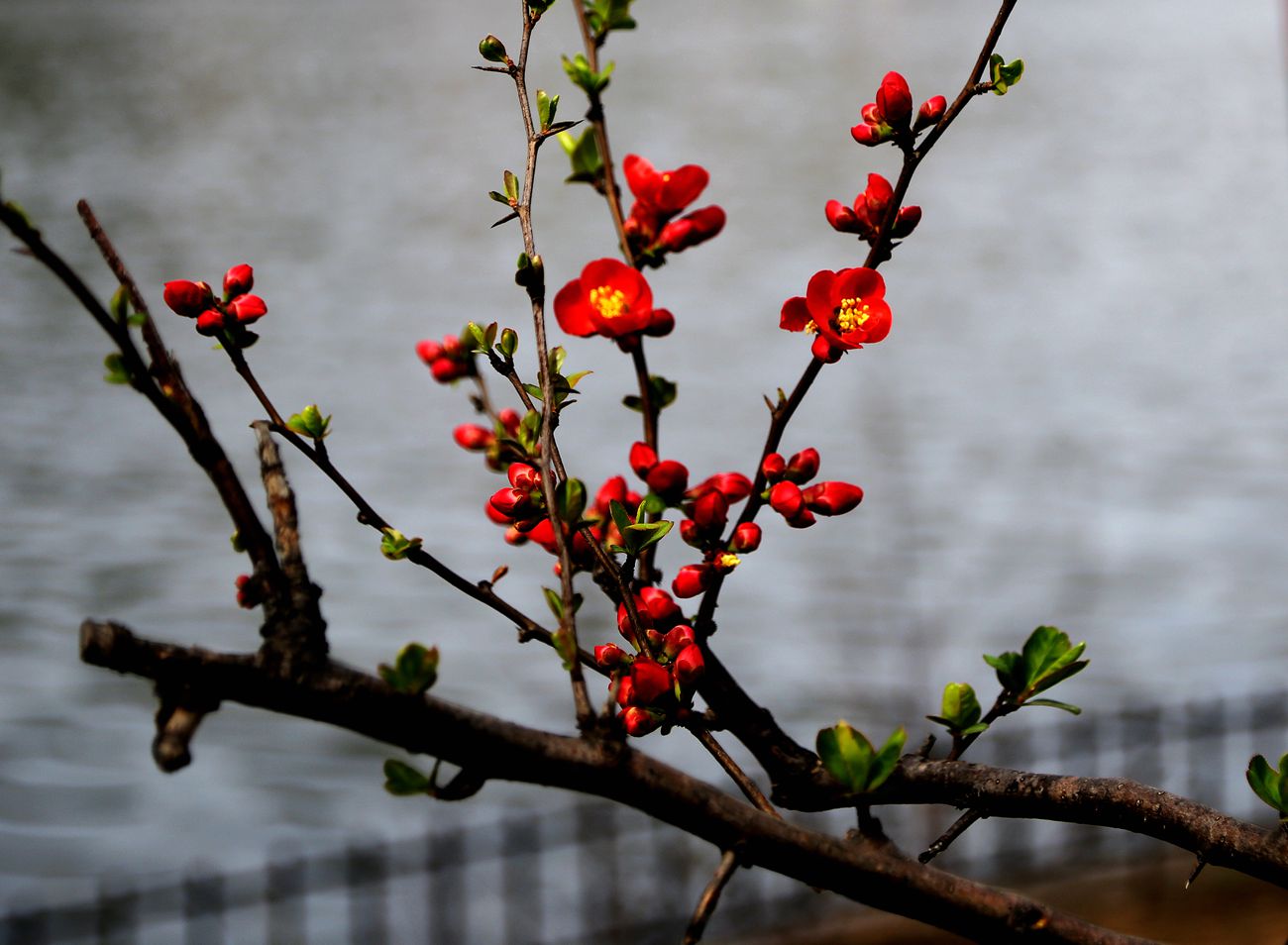 IMG_3893_副本.jpg