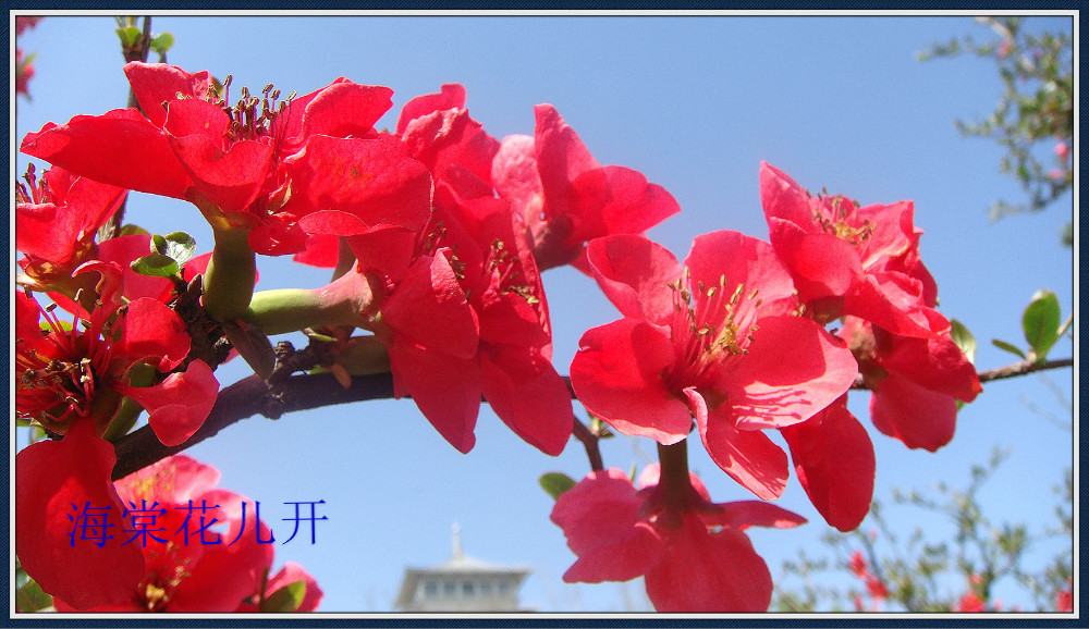 DSC08499_meitu_30.jpg