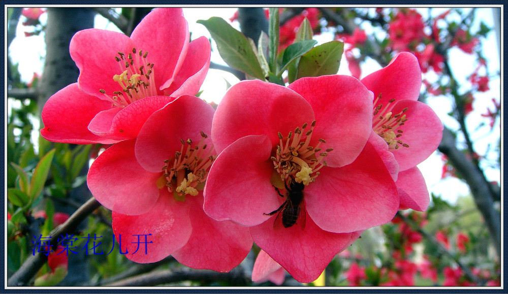 DSC08482_meitu_22.jpg