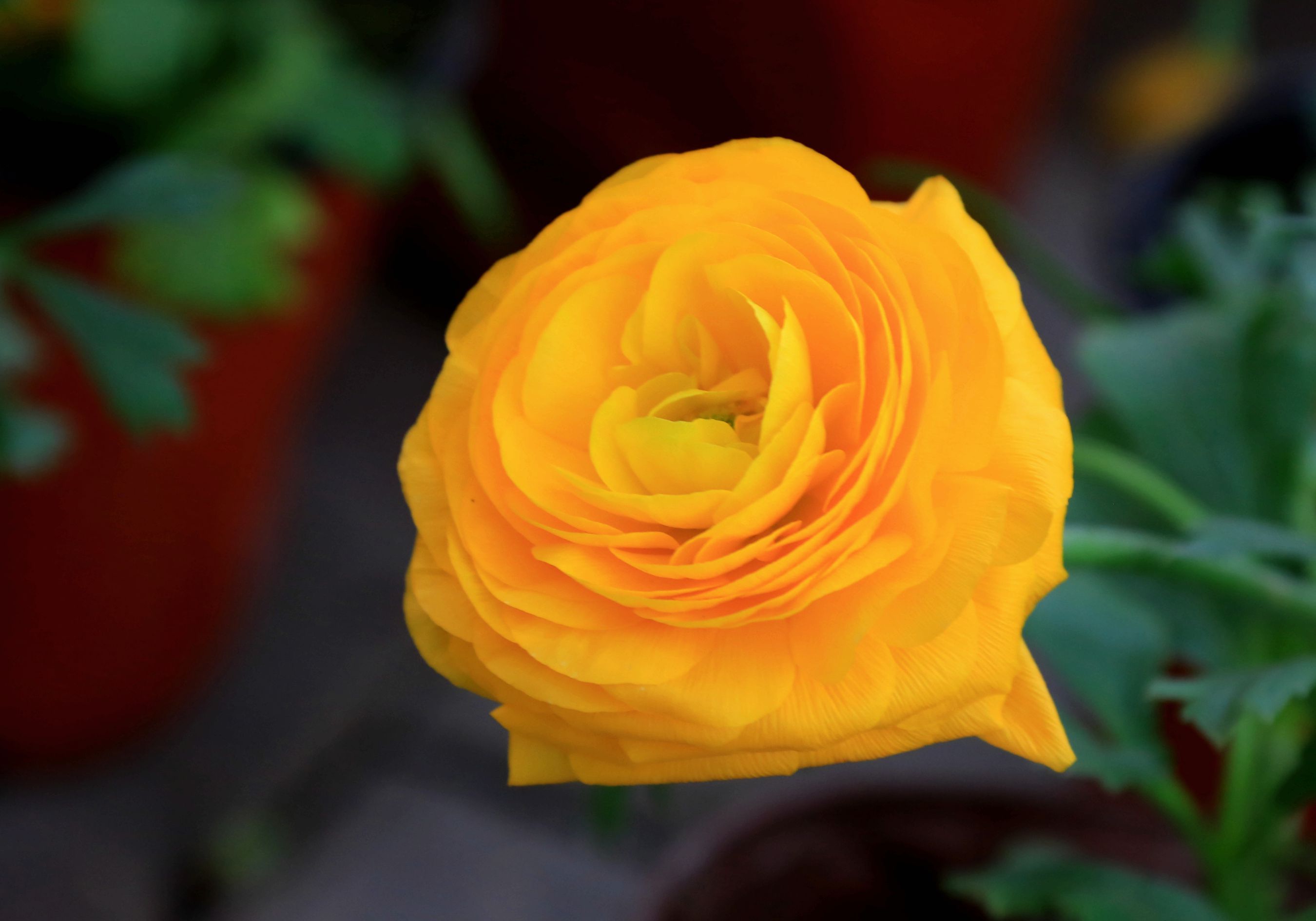AD5A1536_副本.jpg
