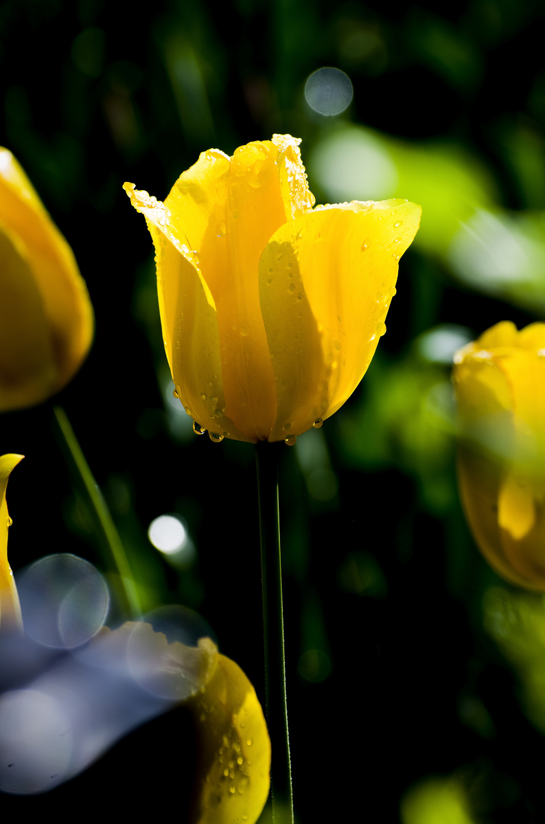 nEO_IMG_DSC_5566.jpg