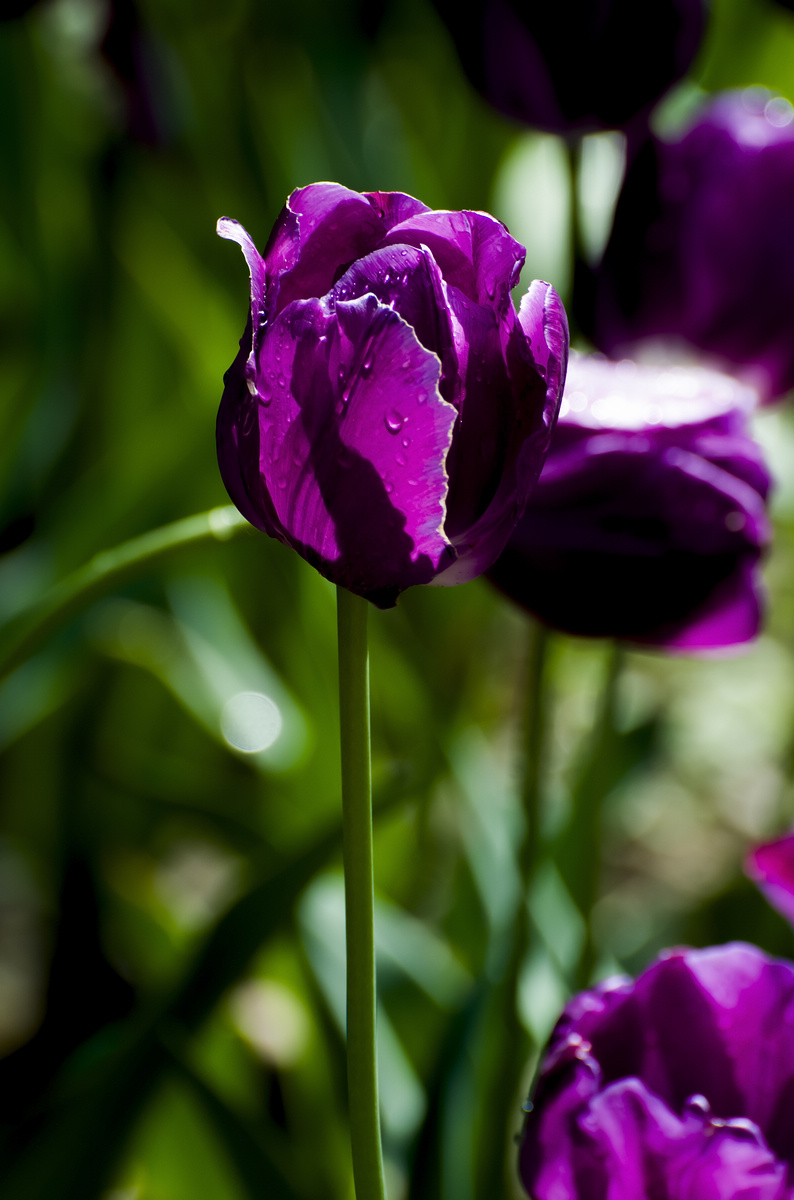 nEO_IMG_DSC_5669.jpg