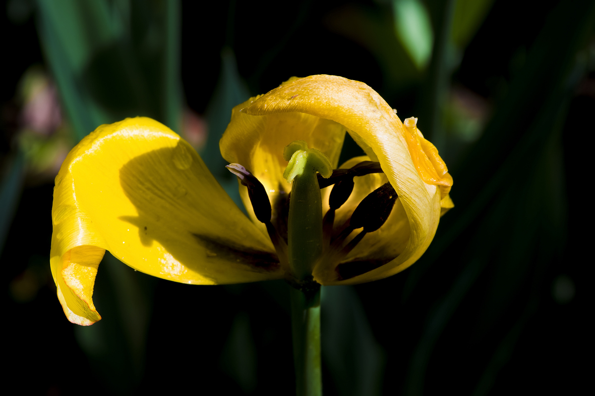 nEO_IMG_DSC_4960.jpg