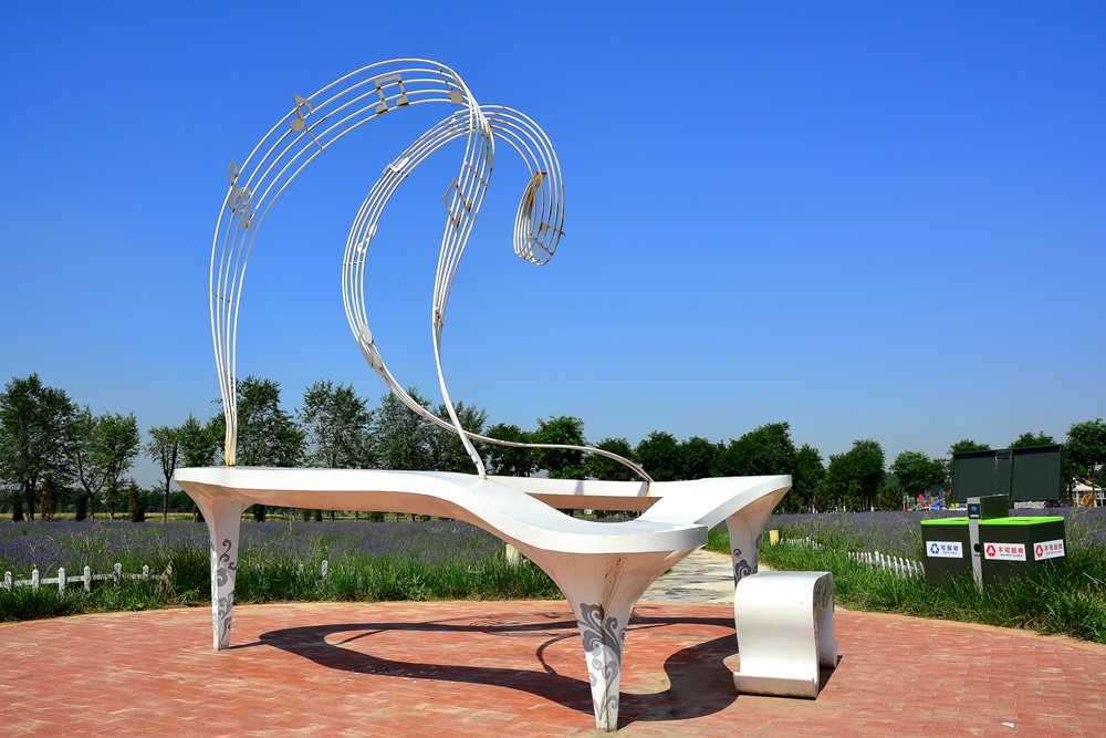 薰衣草花香 (19).jpg