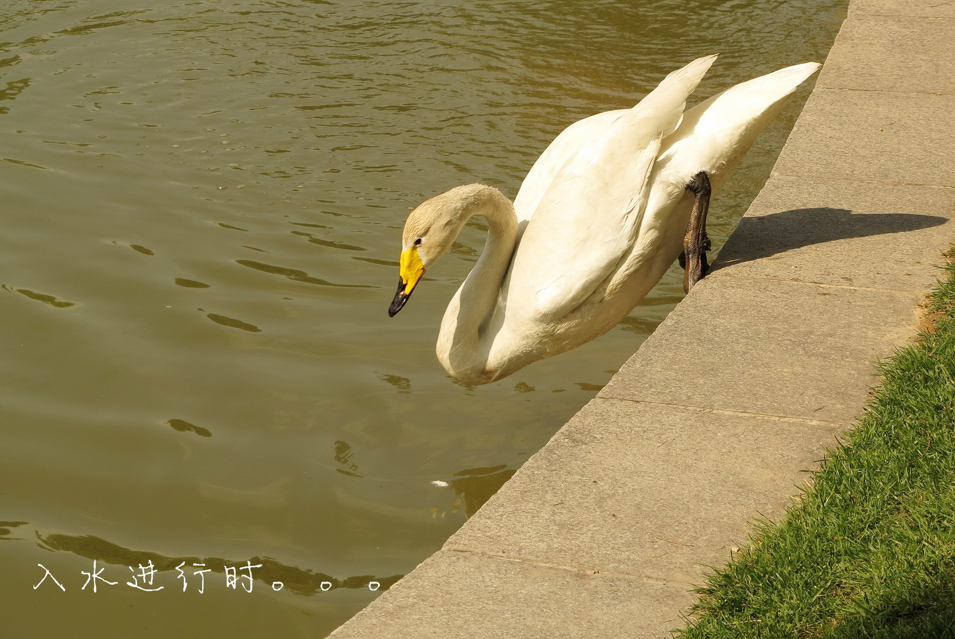IMG_6307_副本.jpg
