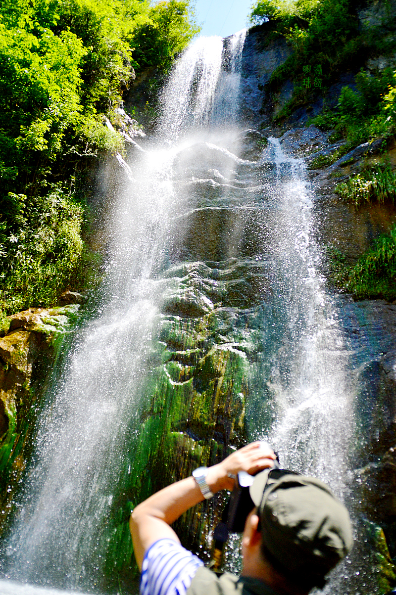 DSC_9638_副本.JPG