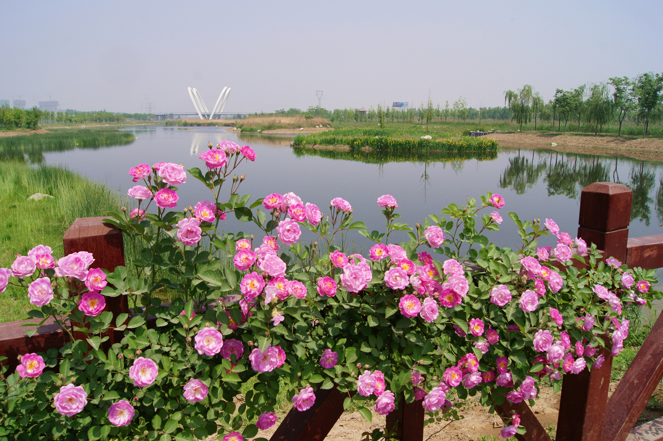DSC08902_副本.jpg