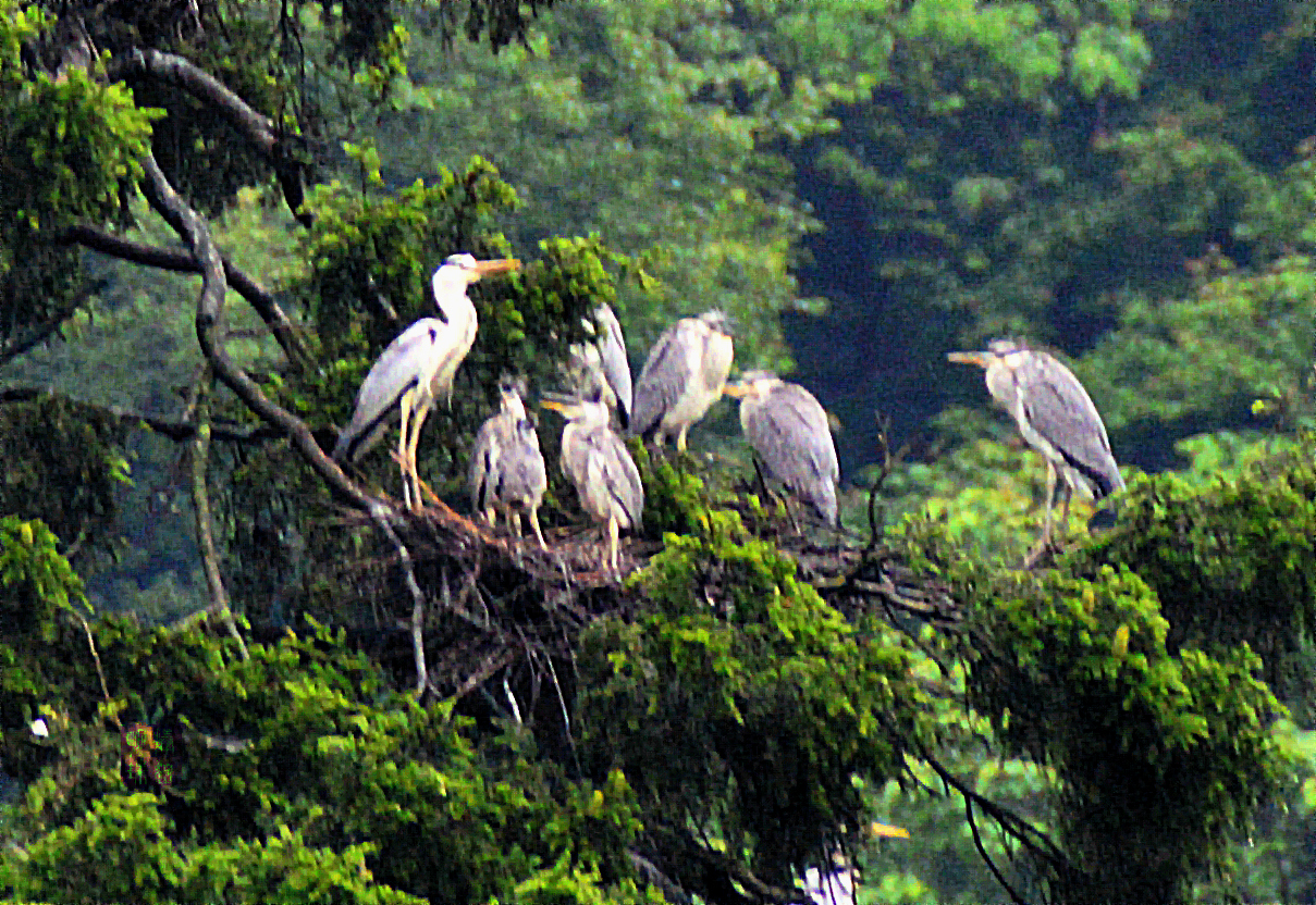 DSC_9840_副本_副本_副本.JPG