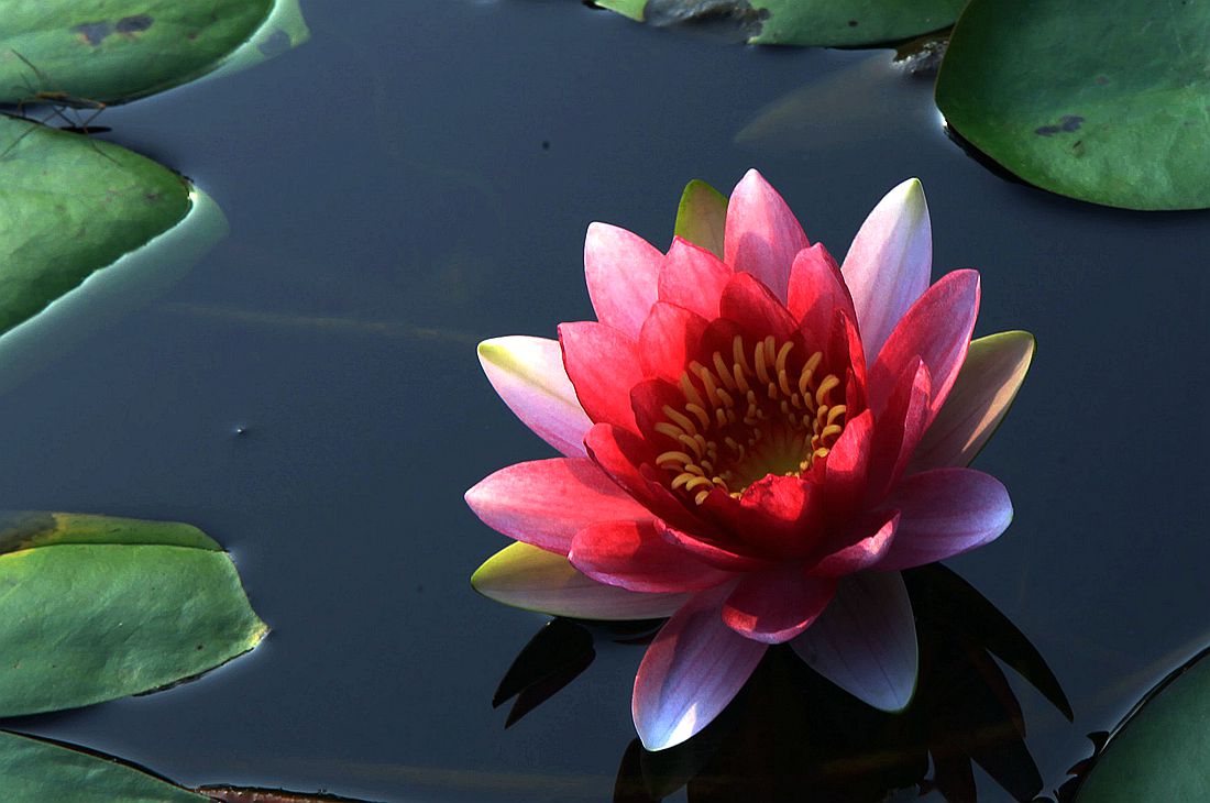 太阳谷 055_副本.jpg