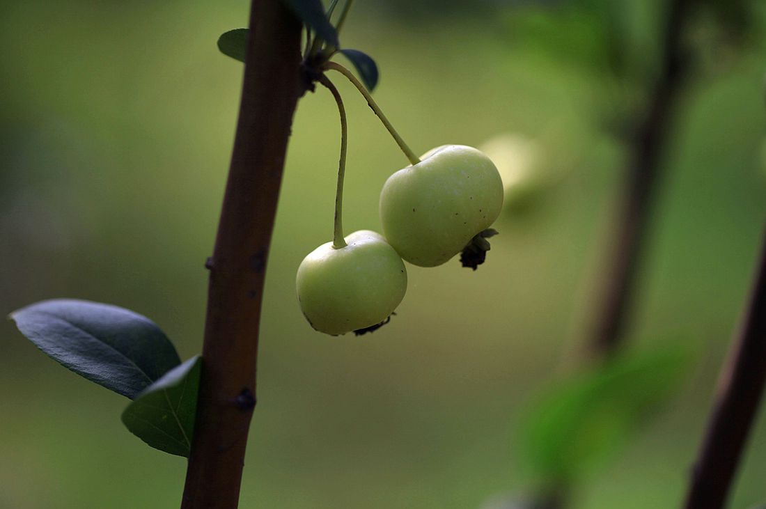 运河古街 029_副本.jpg