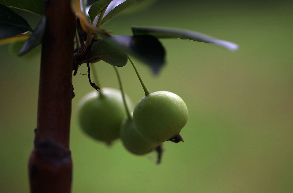运河古街 034_副本.jpg