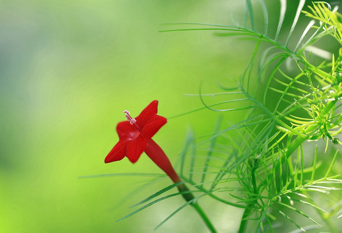 秋葵 162_副本.jpg