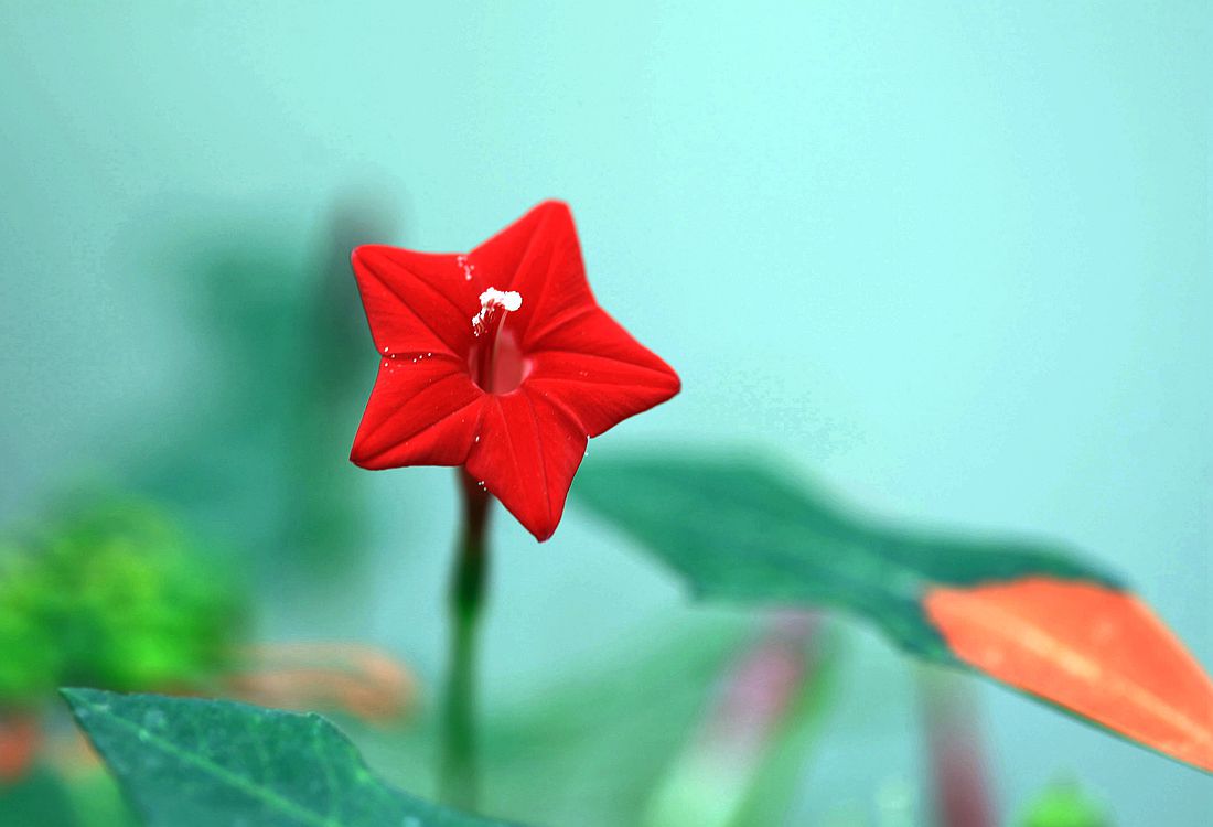 秋葵 179_副本.jpg