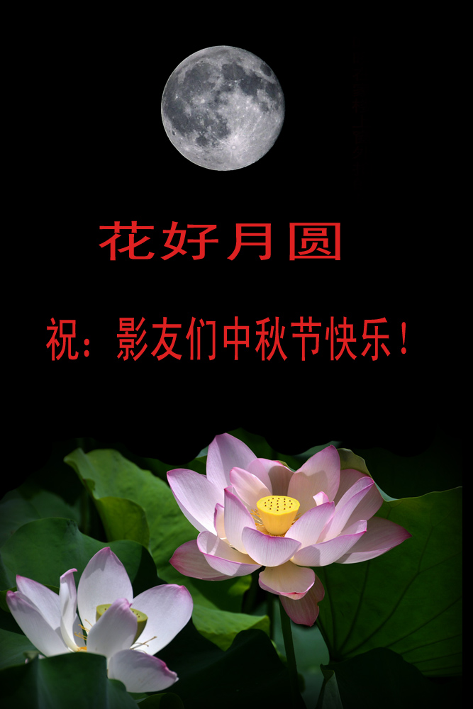 花好 月圆 (1).jpg
