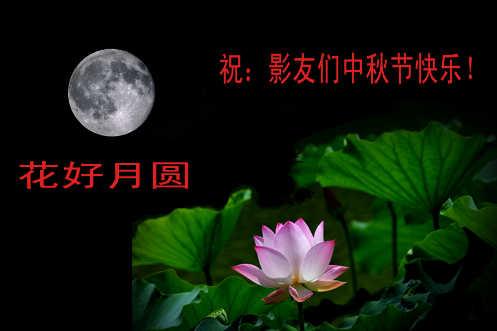 花好 月圆 (2).jpg