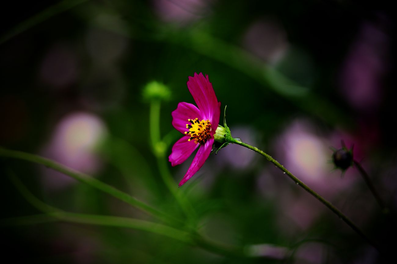 IMG_9460_副本.jpg