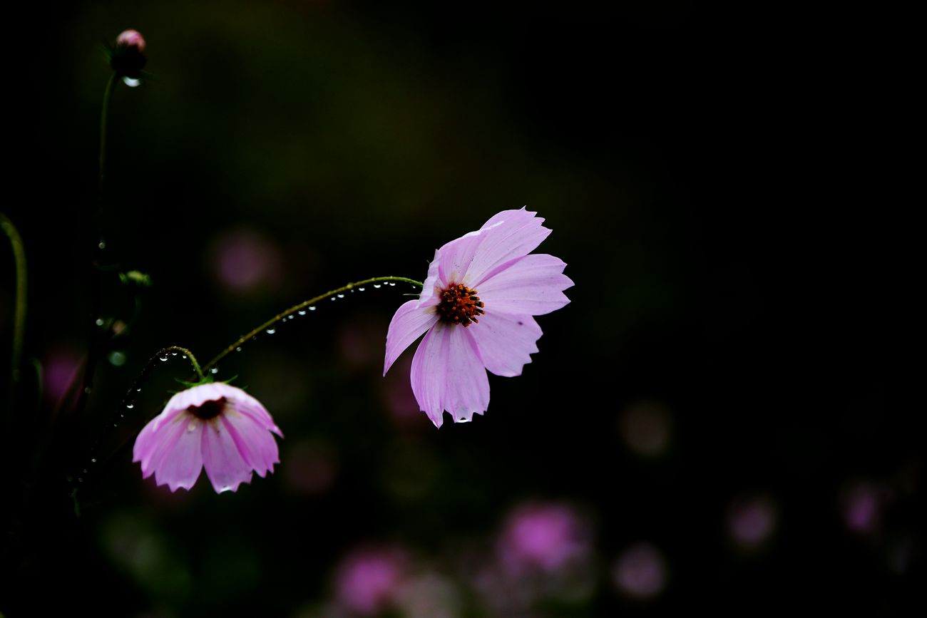 IMG_9465_副本.jpg