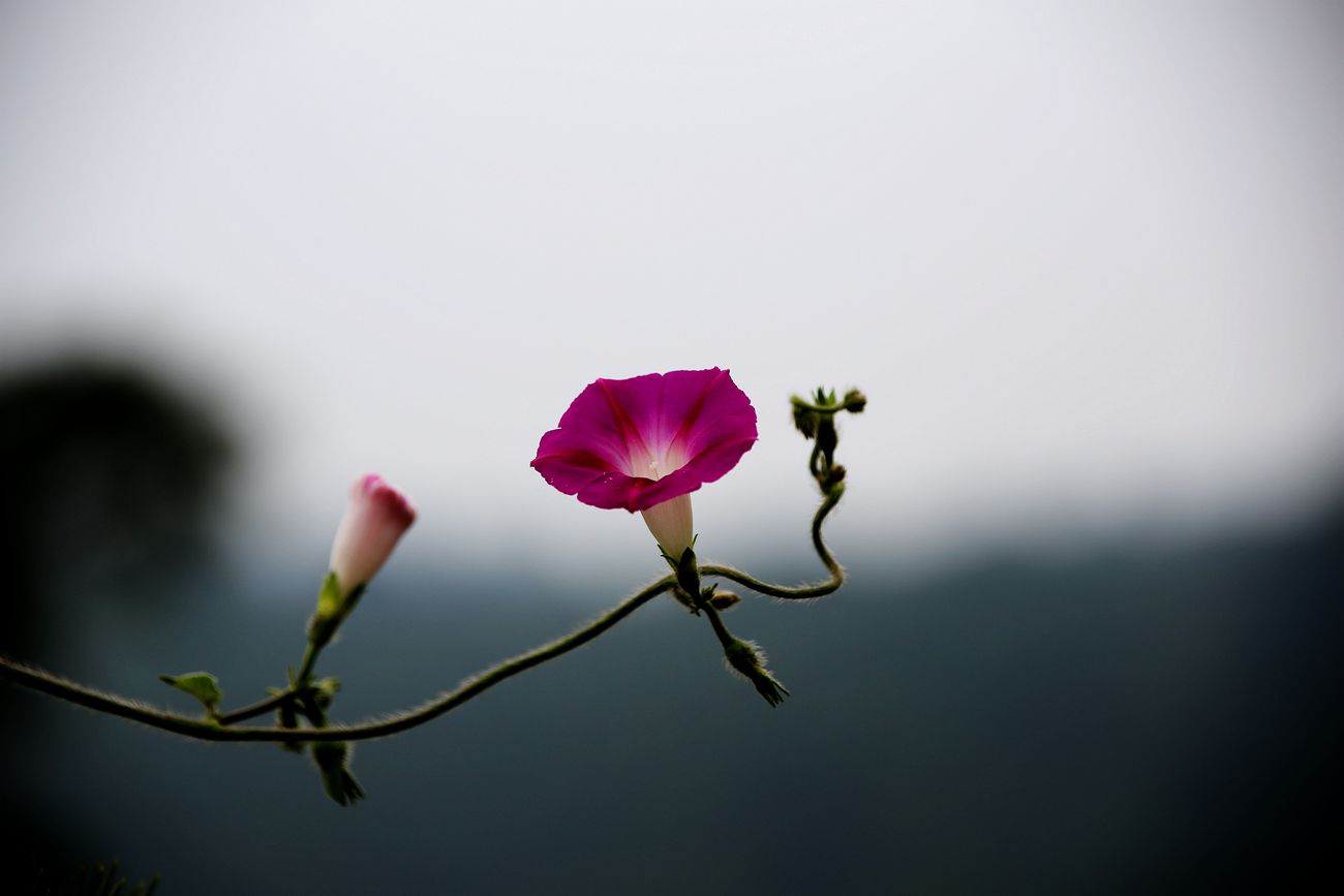 IMG_0383_副本.jpg