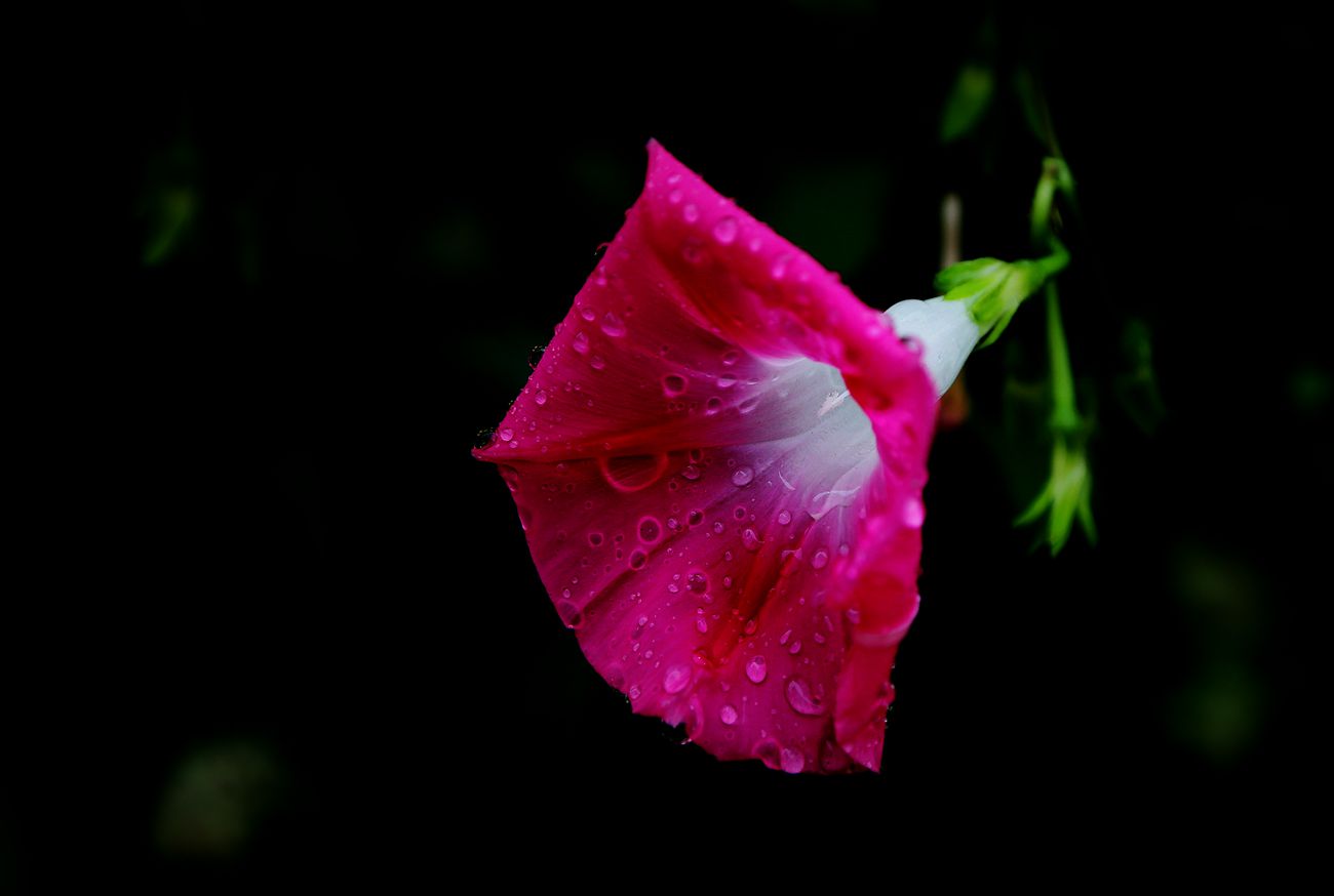 IMG_9563_副本.jpg