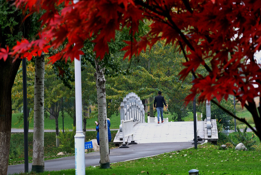 DSC_9259副.jpg