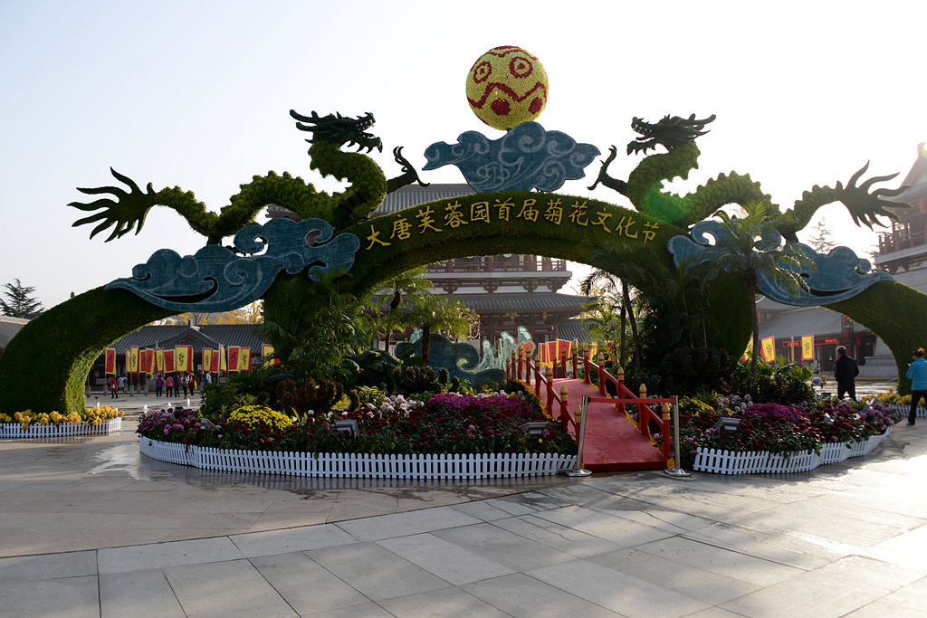 DSC_1578.JPG