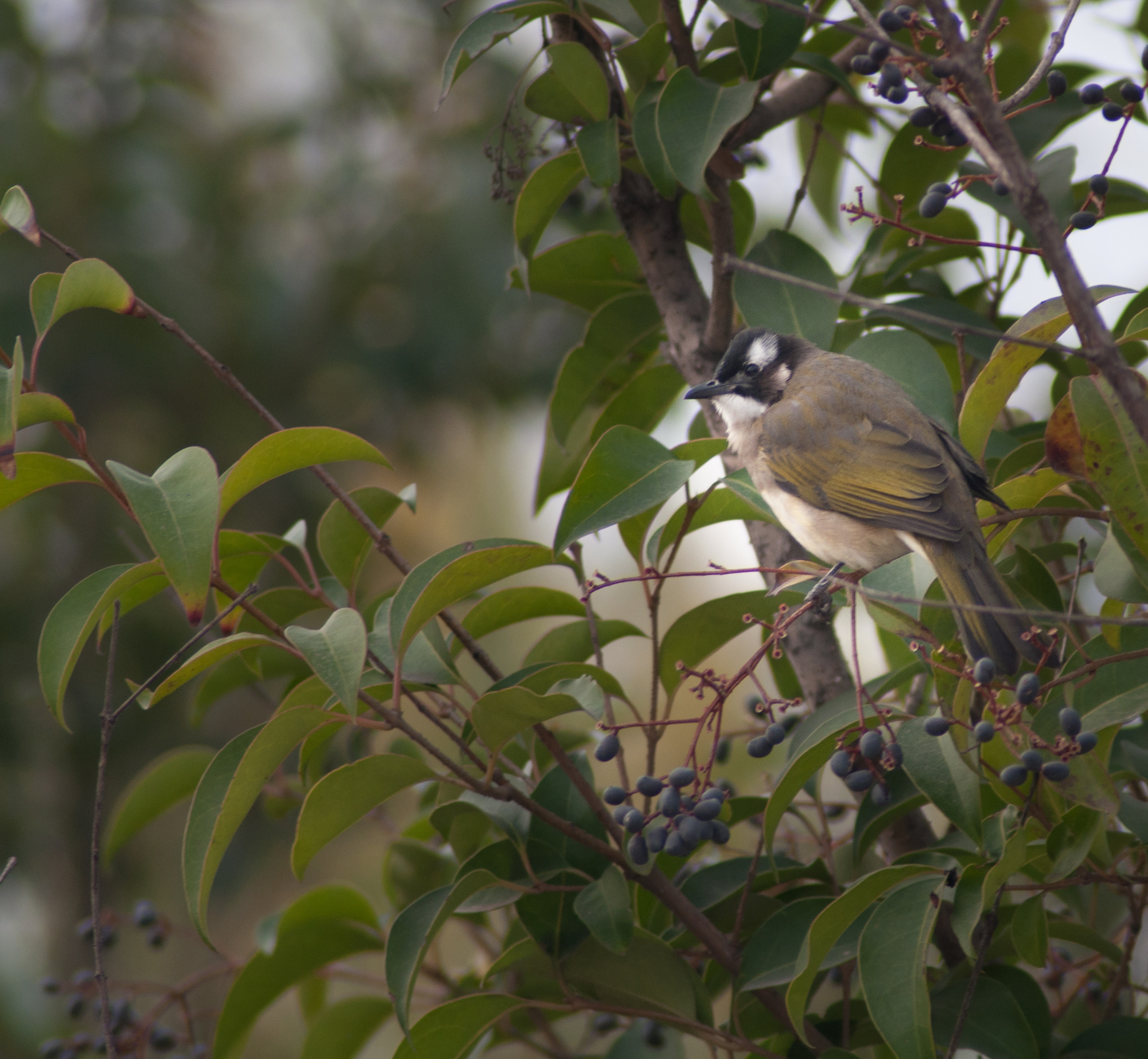 DSC_0763_副本.jpg