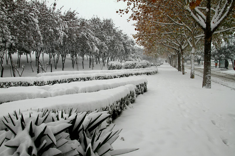 IMG_7876.JPG