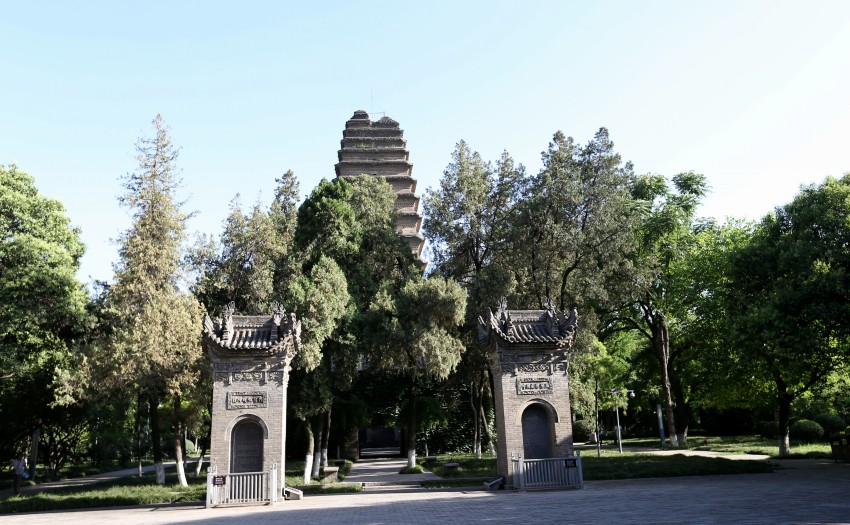 C24T3708_副本_conew2.jpg
