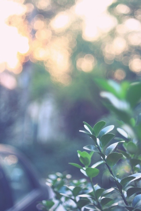7d51ab9929a6e3218b61793f8f1f07fc.jpg
