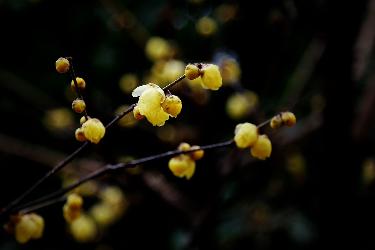 IMG_9433_副本.jpg
