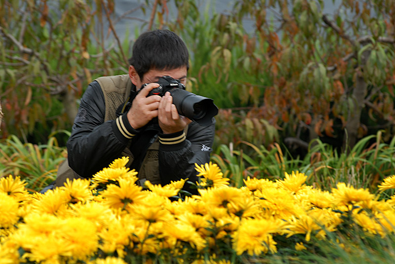 秋菊 (48).jpg